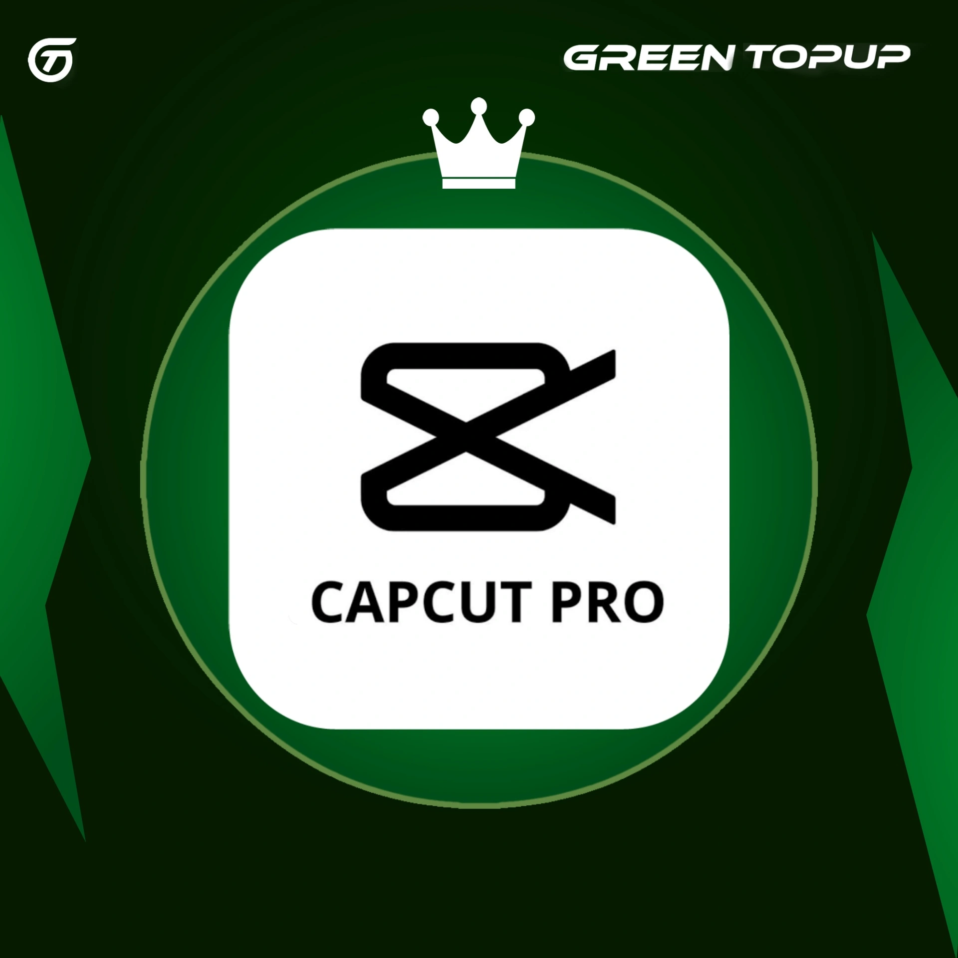 Capcut Pro